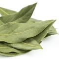 Лавровый лист Лавровый лист