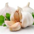 Чеснок