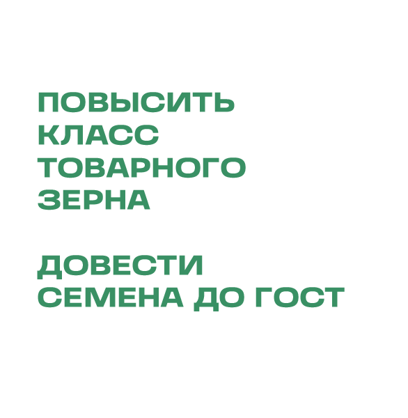 Семенные линии "под ключ"