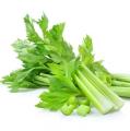 Сельдерей Сельдерей