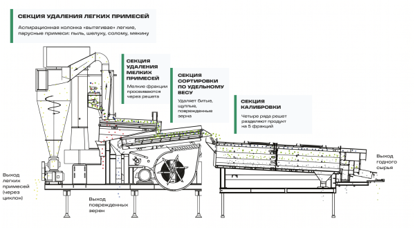 Воздушно-гравитационный сепаратор 5XFZ-25S + калибратор 5XFJ-10CY